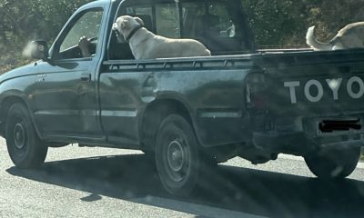 αγροτικο