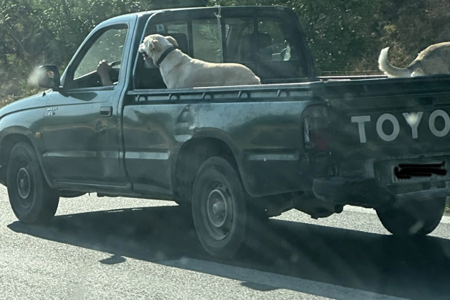 αγροτικο