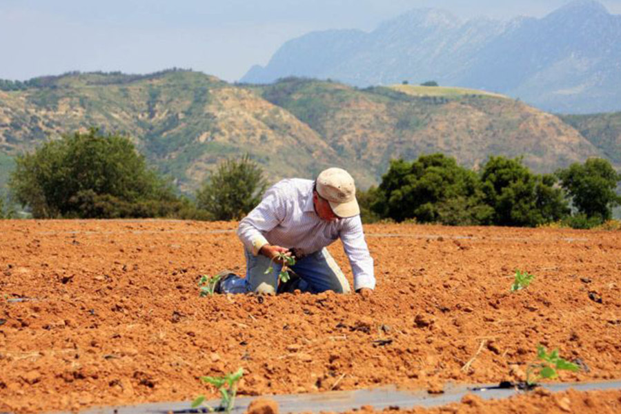 αγρότης παραγωγή